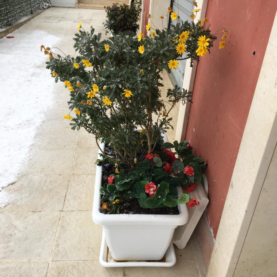 Amaranto Bnb Matera Extérieur photo